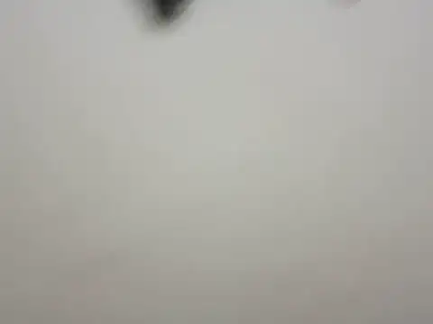 sweet-kittey webcam