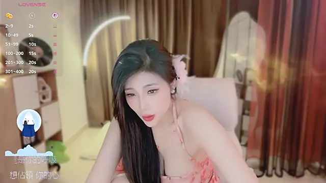 Vaidurya-Yolo webcam