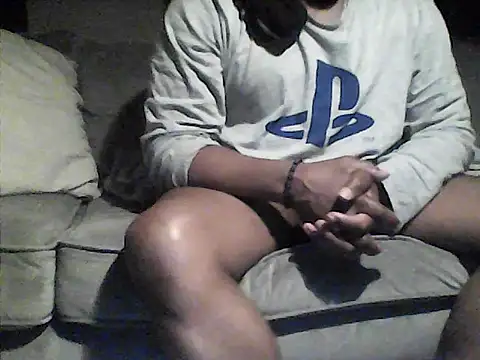 perlados webcam