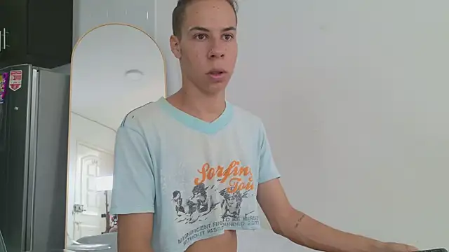 grey___27 webcam