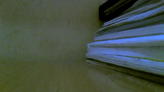 Klipparn webcam