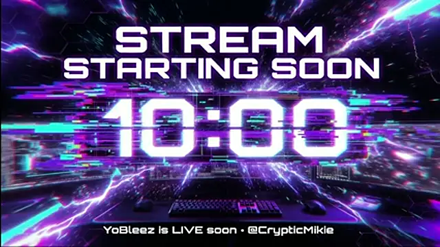 YoBleez webcam