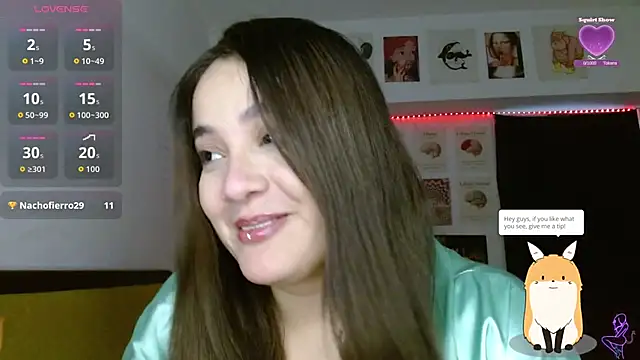 Nova-Satela webcam