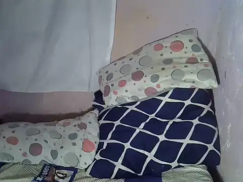 tashlin webcam