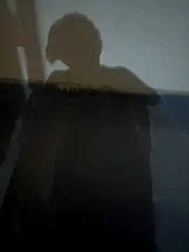 WildloveDuo webcam