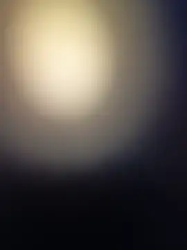 mrandmuse webcam
