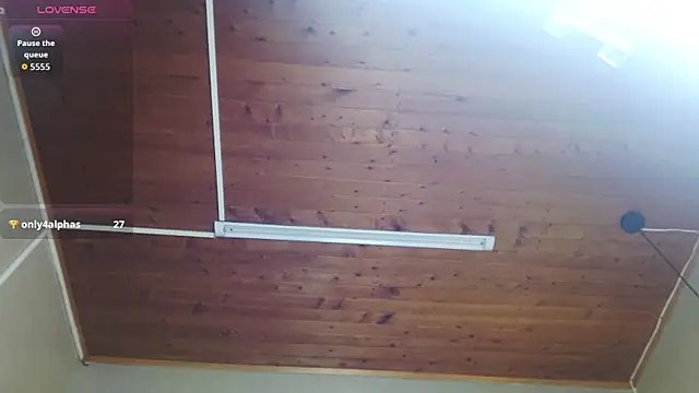 SonicJ25 webcam