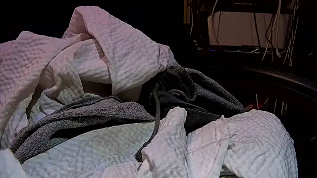 ctguybj webcam