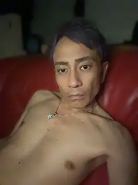 zenith412132 webcam