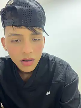Boydilan webcam