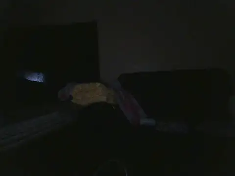 Milamelanie webcam