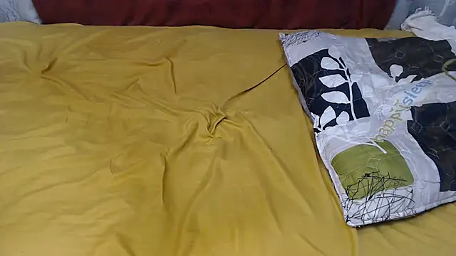 WEPUSSY23XX webcam