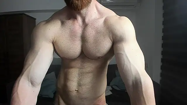 ZkkBlitz webcam