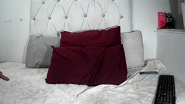 BaselBlues webcam