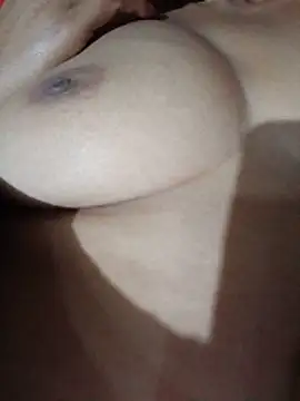 Cellar245 webcam