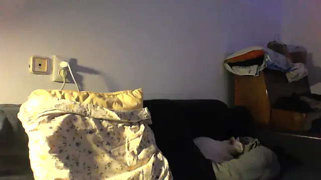 KaelNox live cam on StripChat