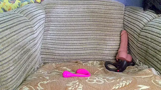 SHARP299 webcam
