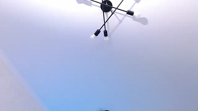 amelia_sunlight