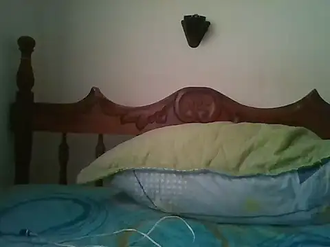 bbccol1 webcam