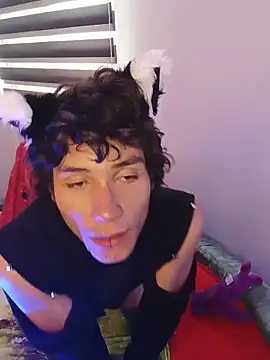 LittleTymmy webcam