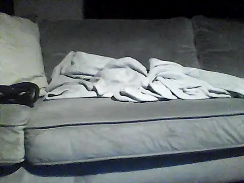 perlados webcam