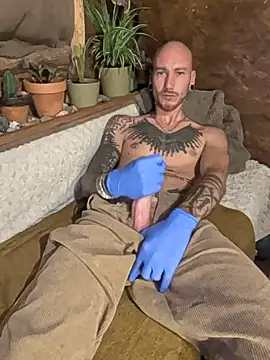 Anacid live cam on StripChat