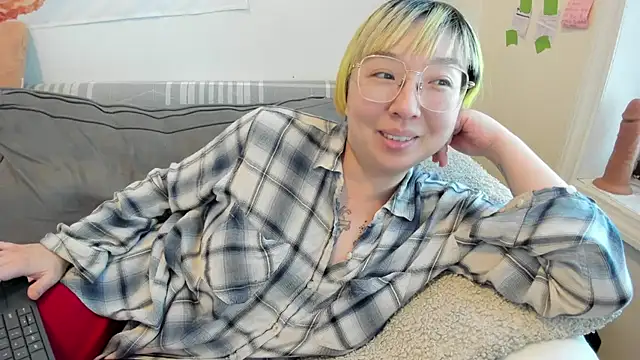 luxgray webcam