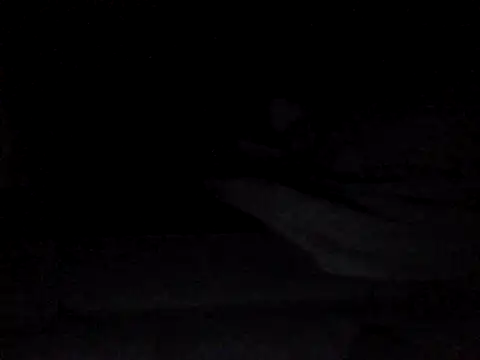 perlados webcam