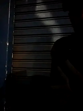 Thisizhakim webcam