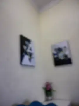 LeylaKnox webcam
