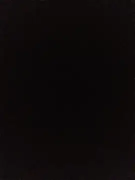 haccr_ webcam