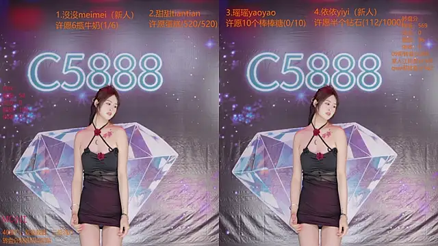 C5888 webcam