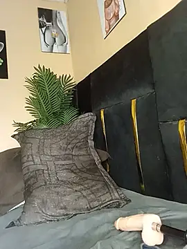 Pinkydish webcam