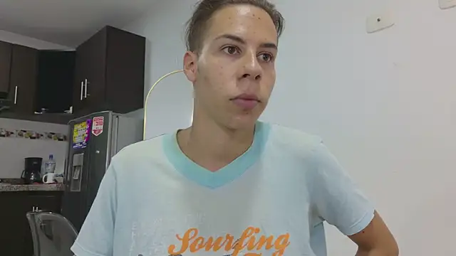 grey___27 webcam