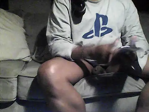 perlados webcam