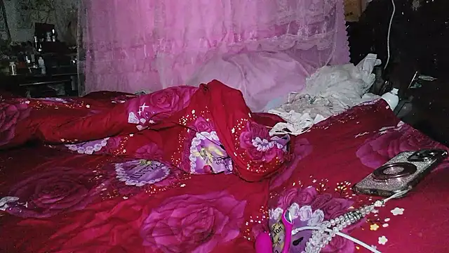 hebe-02 webcam