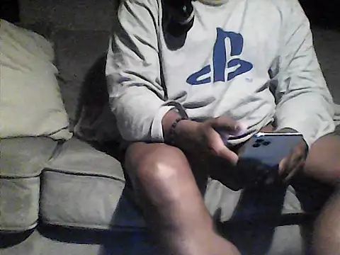 perlados webcam