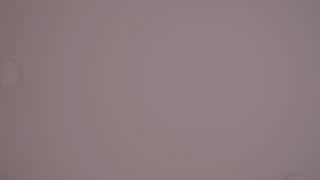 GinaFleming webcam