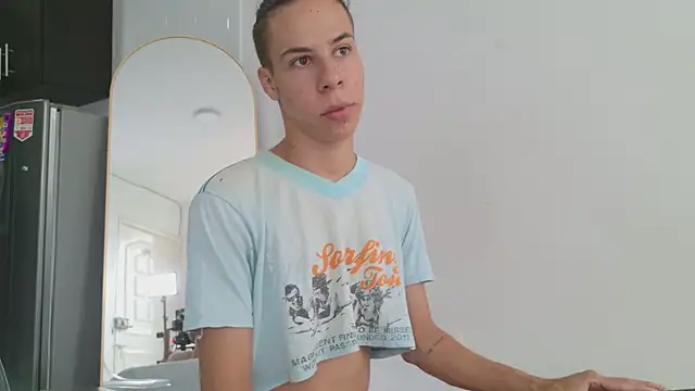 grey___27 webcam