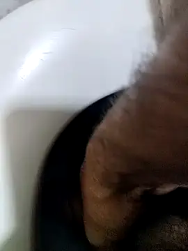 Egypt1000 live cam on StripChat
