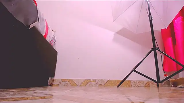 MaidenGame webcam