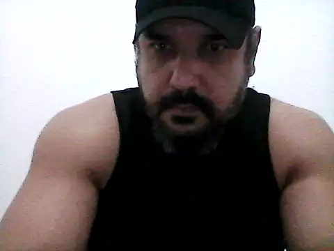 stallony webcam