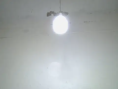 cockdory webcam
