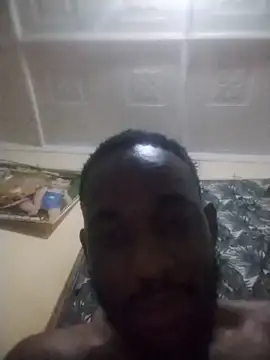 HomeBully live cam on StripChat