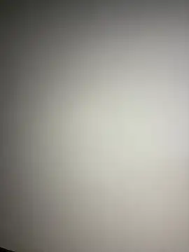 delasan webcam