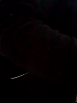 Pupi-Lanegra webcam