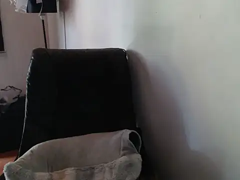 trans_69_ webcam