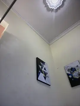 LeylaKnox webcam