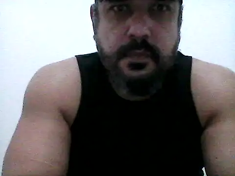 stallony webcam