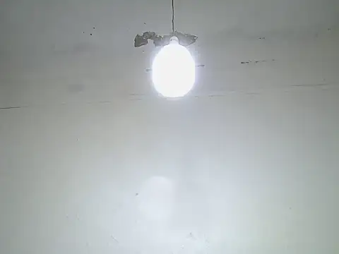 cockdory webcam